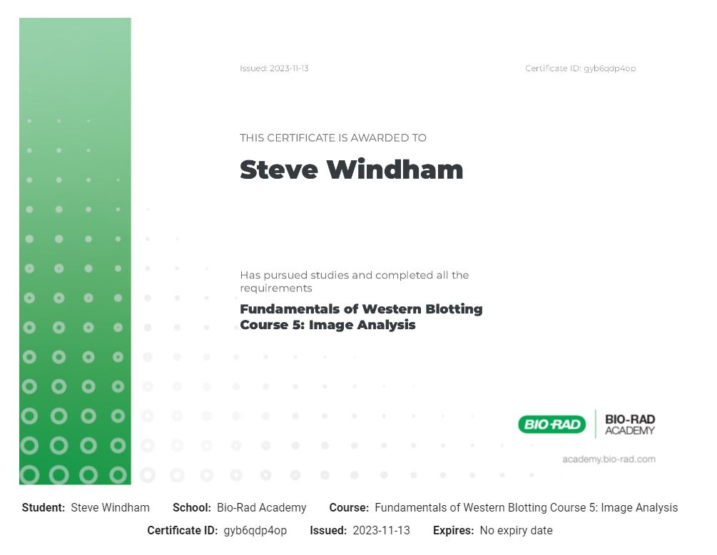 Fundamentals of Western Blotting Course 5 -- Image Analysis